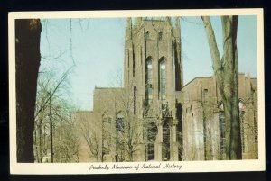 New Haven, Connecticut/CT Postcard, Payne Whitney Gymnasium