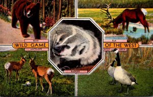 Wild Game Of The West Bear Elk Antelope Badger and Wild Geese