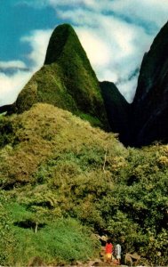 Hawaii Maui Iao Valley The Needle