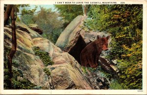 VINTAGE POSTCARD I CAN'T BEAR TO LEAVE THE CATSKILL MOUNTAINS MAILED 1936