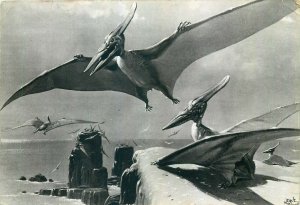 Prehistoric Animals post card Pteranodon flying reptile