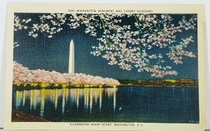 Washington  DC Illuminated Night Scene, Monument & Cherry Blossoms Postcard J12