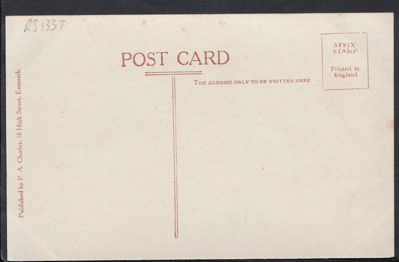 Devon Postcard - Orcombe Point Looking East, Exmouth   RS1337 