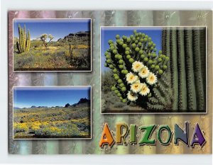 Postcard Arizona USA