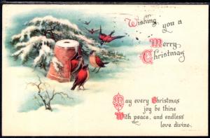 Merry Christmas Birds