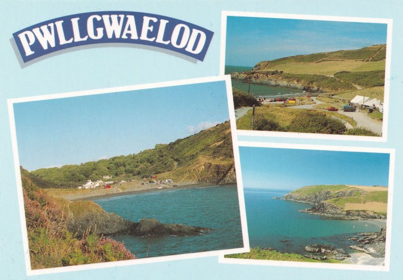 Pwllgwaelod Dinas Welsh Birds Eye 1980s Postcard