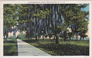 In Washington Park Washington North Carolina 1937