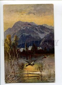 288462 Mueller MULLER Duck HUNT Town Vintage Erika #3014 PC