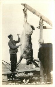 1940s Salinas Kansas Conard Art Shop Rabbit Exaggeration RPPC Postcard 25-11616