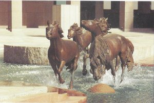 The Mustangs of Las Colinas Worlds Largest Horse Sculpture Irving TX  4 by 6