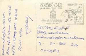 Entier Postal Stationery Postal Sri Lanka Ceylon Lion