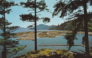 Canada Log Booming Grounds Vancouver Island British Columbia