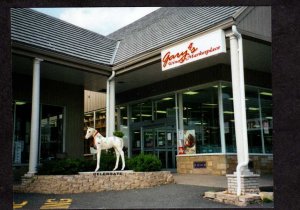 NJ Horse Gary's Wine & Marketplace Store Bernardsville New Jersey Postcard