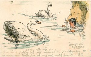 Birds & poultry topical vintage postcard swans on lake