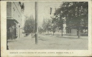 Morris Park Long Island NY Johnson Ave c19110 Postcard