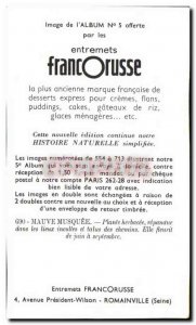 Image Entremets Francorusse Musk mallow