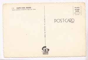 Cape Cod, Mass, Scenic windmill, unused Postcard