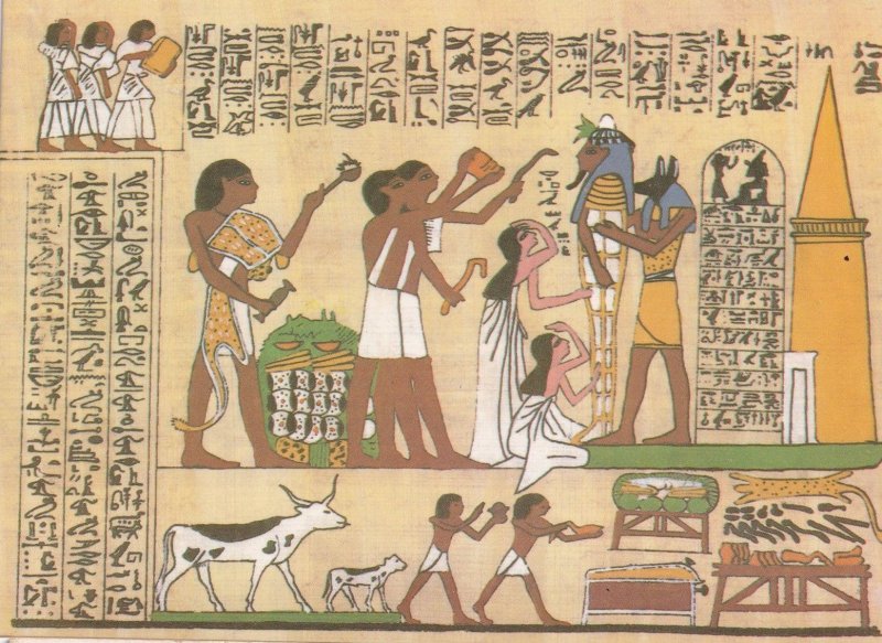 Papyrus Of Hunefer Opening Of The Mouth Ceremony Egyptian Postcard