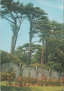 Staffordshire Postcard - Alton Towers, Statues in The Rose Garden RR17416