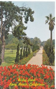 America Postcard - Bixby Park - Long Beach - California    XX797