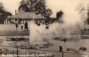 Cricket Bowling Match At Rotoria Tea Kiosk New Zealand Stunning RPC Postcard