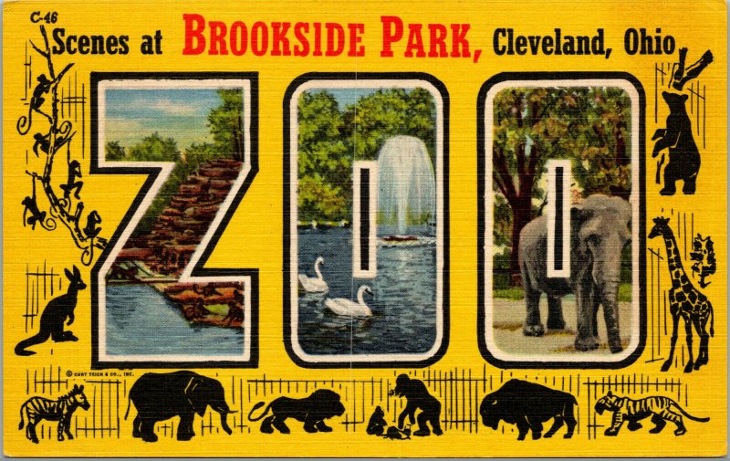 Vtg 1950s Brookside Park Zoo Large Letter Greetings Cleveland Ohio OH Postcard