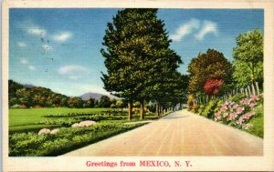 1940s Greetings from Mexico New York Linen Postcard