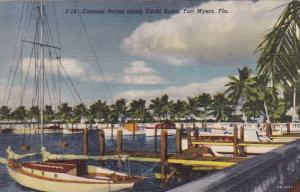 Coconut Palms Along Yacht Basin Fort Myers Florida 1955