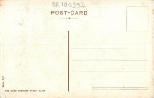 BR100397 cairo the citadel africa egypt