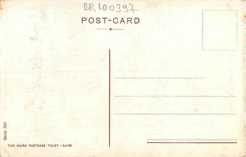 BR100397 cairo the citadel africa egypt