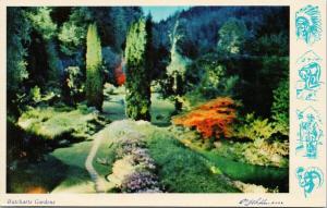 Butchart Gardens Victoria BC Night Illuminations UNUSED WJ Gibbons Postcard D97