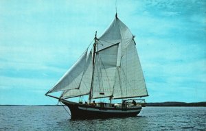 Vintage Postcard Schooner Mistress Captain & Mate-Cook Sail Boat Camden Maine ME