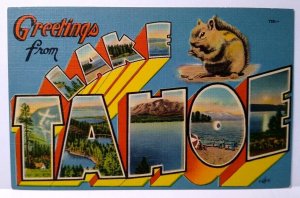 Greetings From Lake Tahoe California Large Letter Linen Postcard Squirrel Unused