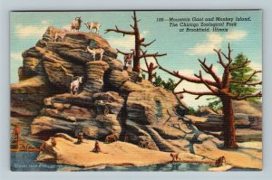 Brookfield IL-Illinois, Chicago Zoo Monkey Island Mountain Goats, Linen Postcard 