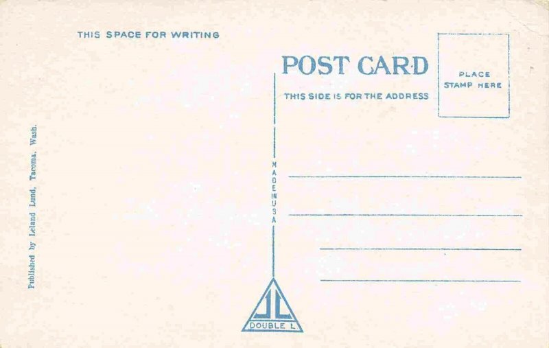 Residence Street Seattle Washington 1920s postcard