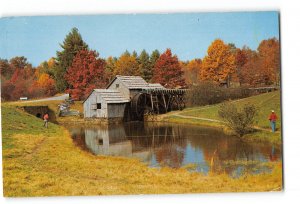 Oneonta New York NY Vintage Postcard Old Mill Next to Pond