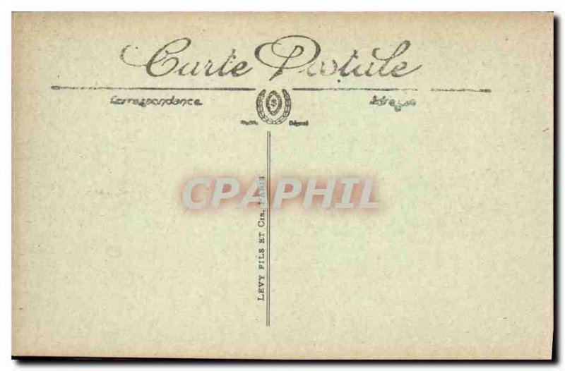 Old Postcard Chantilly Chateau Gallery Deer