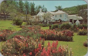 c1960s Waterlot Inn Southampton Bermuda garden exterior postcard A862 