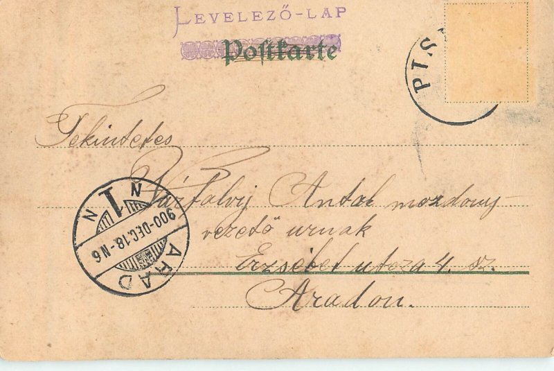 Adorable drawn girls 1900 postcard