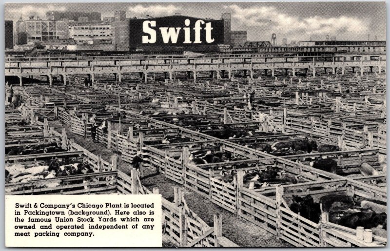 Swift & Company Chicago Illinois IL Plant Packing Town Union Stock Yard Postcard