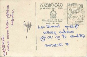 Entier Postal Stationery Postal Sri Lanka Ceylon Lion