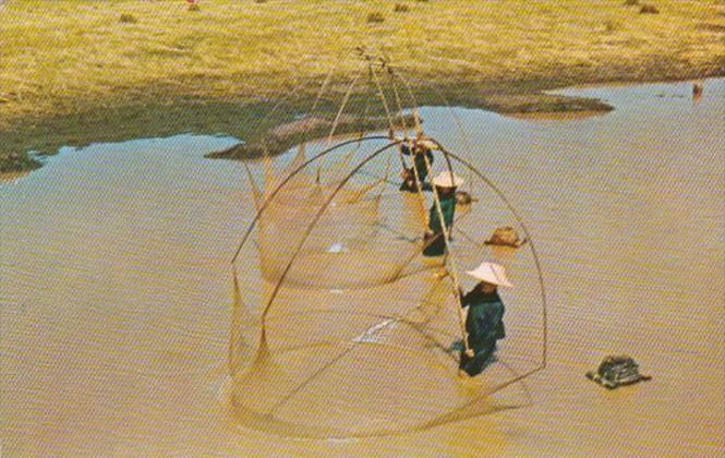 Thailand Thai Fishing