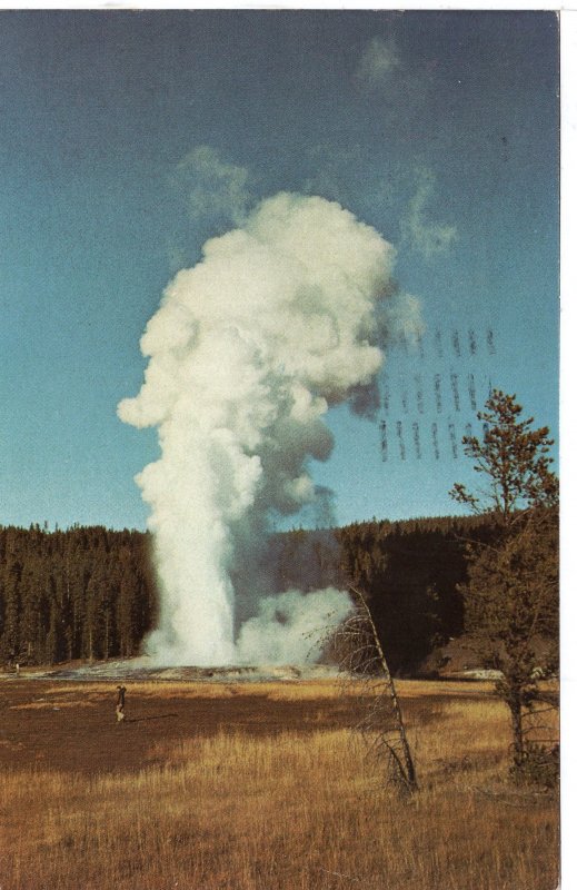 US    PC2918  GIANT GEYSER YELLOWSTONE NATIONAL PARK