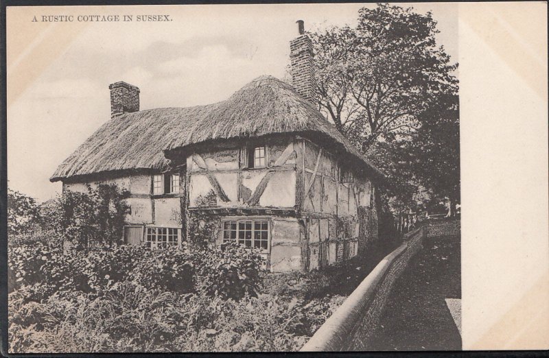 Sussex Postcard - A Rustic Cottage in Sussex    A142