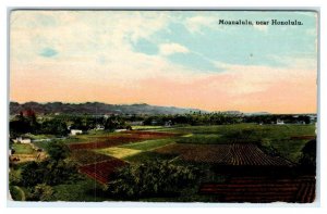 MOANALULU, HI Hawaii ~ PANORAMA of AREA & FARMS  1912  Postcard