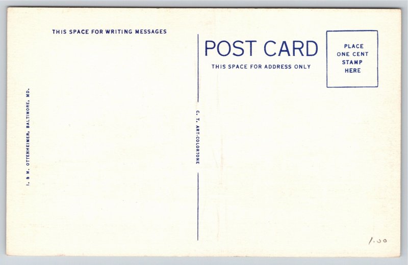 Baltimore Maryland~Cathedral & YMCA Building~Vintage Linen Postcard