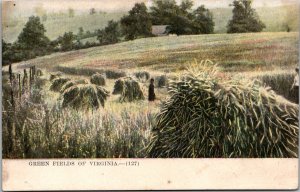 Green Fields Of Virginia~Vintage  Postcard~KB11