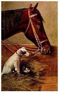 Dog , Horse , cat