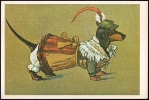 Sweden Post card - Dog, unused