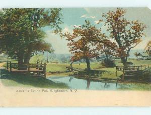 Unused Pre-1907 PARK SCENE Binghamton New York NY r7477